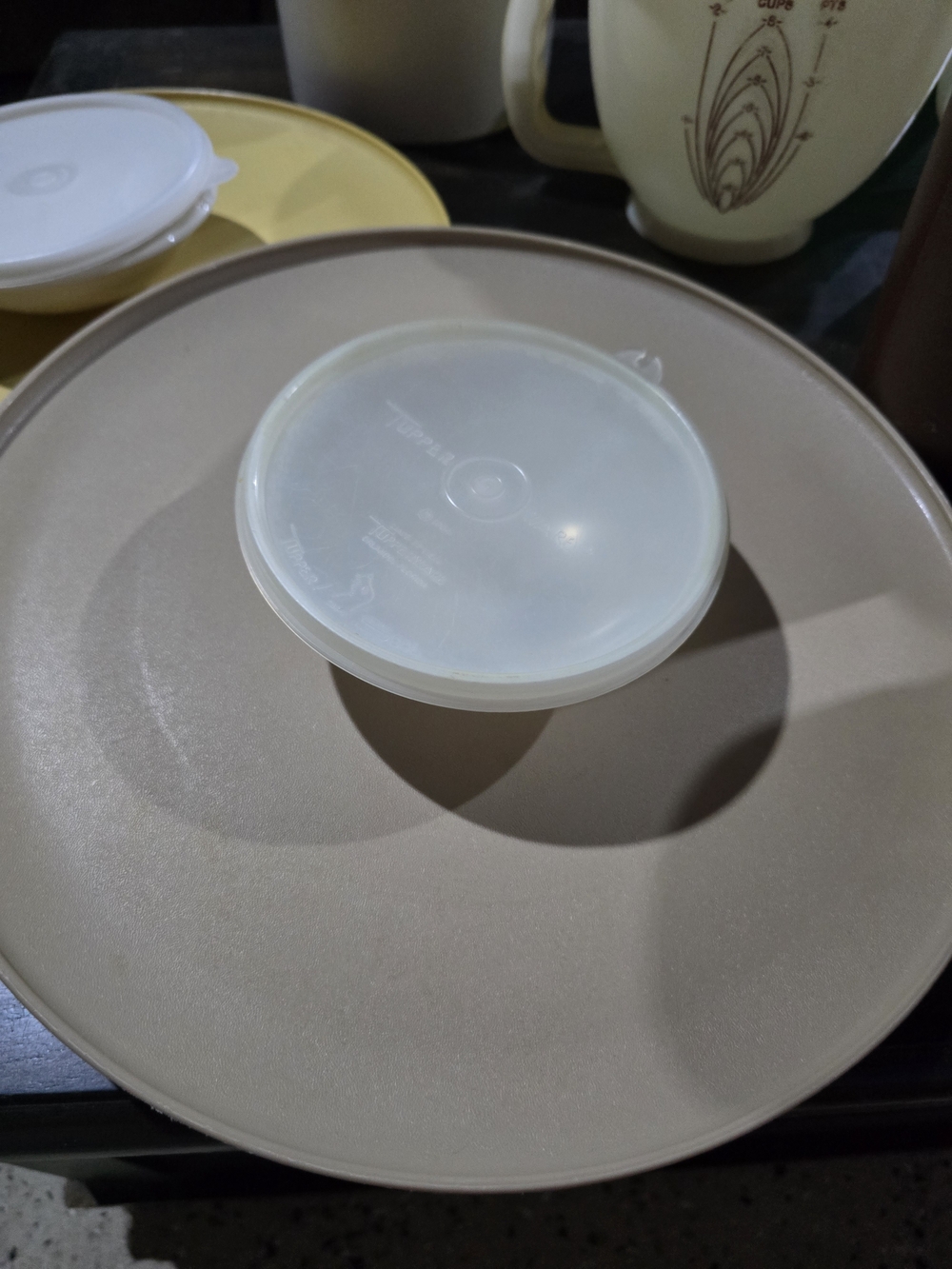 Chips & Dips or veggie tray.  Bowl with lid